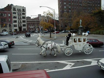 Horse-drawn carriage in Brooklyn<br>Location: <a href="https://www.google.com/maps/search/?api=1&query=40.67298,-73.97025" target="_new">Brooklyn City Tour, Grand Army Plaza</a>